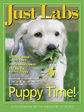 Just Labs