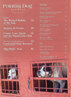 PDJ Vol. 19 No. 01 Jan-Feb 2011
