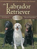 The Labrador Retriever: A Comprehensive Guide to Buying