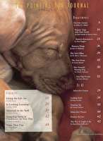 PDJ Vol. 14 No. 02 Mar-Apr 2006