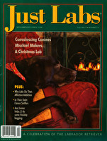 JL Vol. 06 No. 04 Nov-Dec 2006