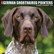 Just German Shorthaired Pointers 2022 Wall Calendars