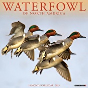 Waterfowl of North America 2023 Wall Calendar
