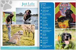 Just Labs Digital Only Gift Subscription