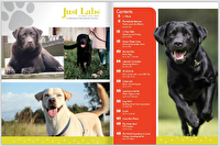 Just Labs Digital Only Subscription