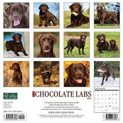 Just Chocolate Labs - 2024 Wall Calendar