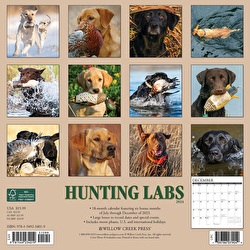 Just Hunting Labs - 2024 Wall Calendar