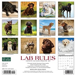Just Lab Rules - 2024 Wall Calendar