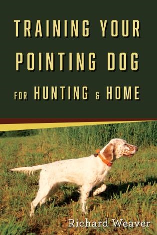 Training your Pointing Dog for Hunting and Home