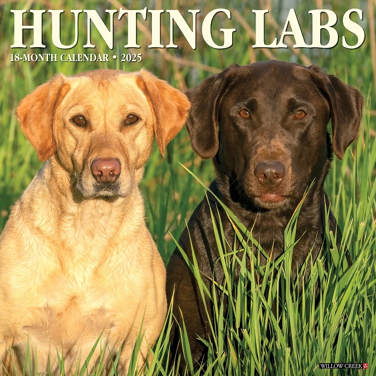 Just Hunting Labs - 2025 Wall Calendar