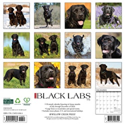 Just Black Labs - 2025 Wall Calendar