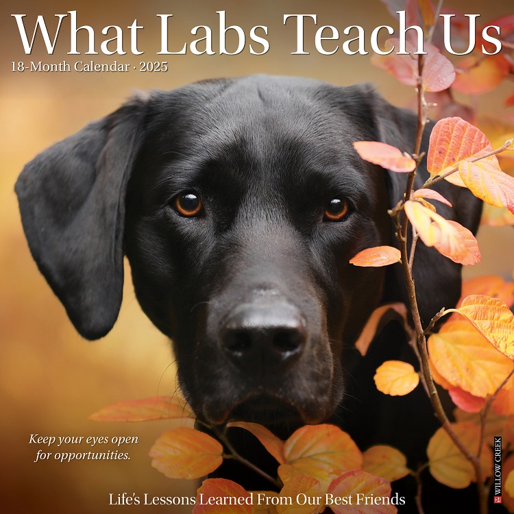 What Labs Teach Us - 2025 Wall Calendar