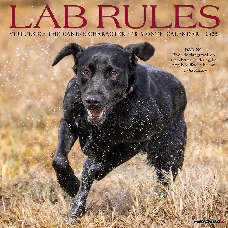 Just Lab Rules - 2025 Wall Calendar