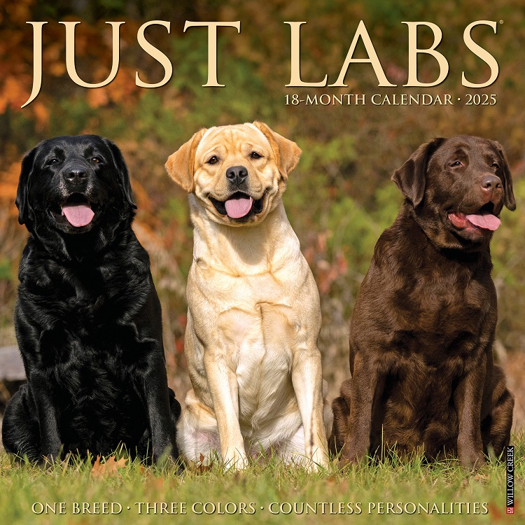 Just Labs - 2025 Wall Calendar