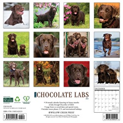 Just Chocolate Labs - 2025 Wall Calendar