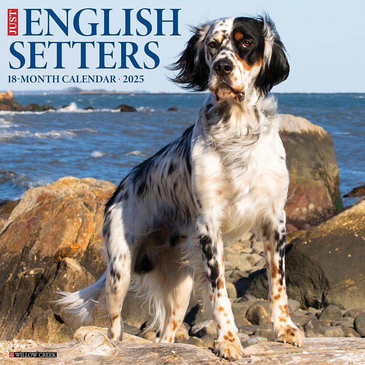 Just English Setters - 2025 Wall Calendar