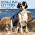 Just English Setters - 2025 Wall Calendar