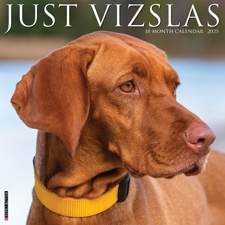 Just Vizslas - 2025 Wall Calendar