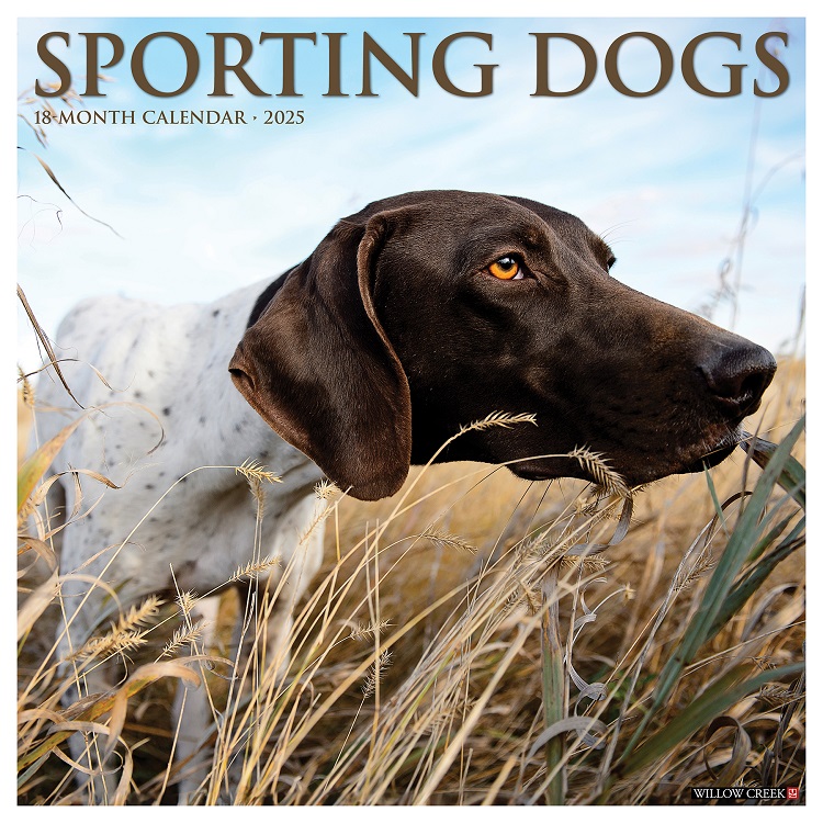 Sporting Dogs - 2025 Wall Calendar