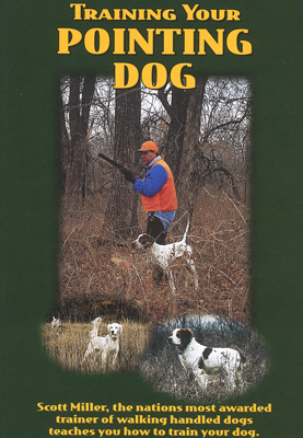 Training Your Pointing Dog DVD