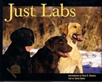 Just Labs - Half Pint Edition